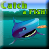 Catch a Fish icon